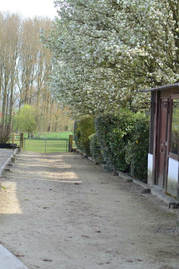 B&B Molenzicht Ninove Exterior foto
